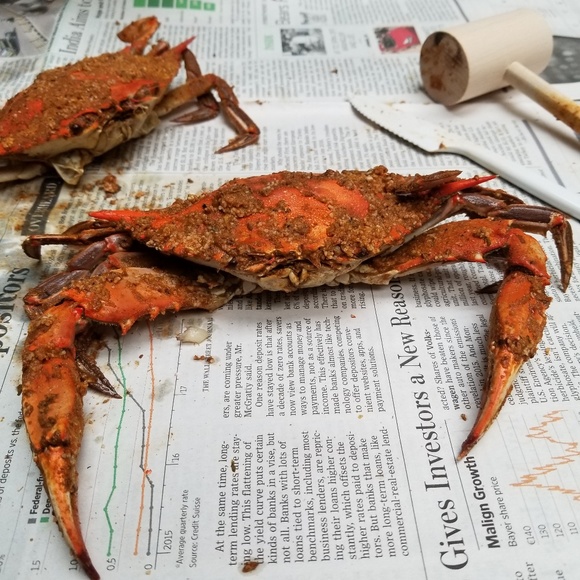 Meet your Posher, Jeremy - Picture 1 of 1